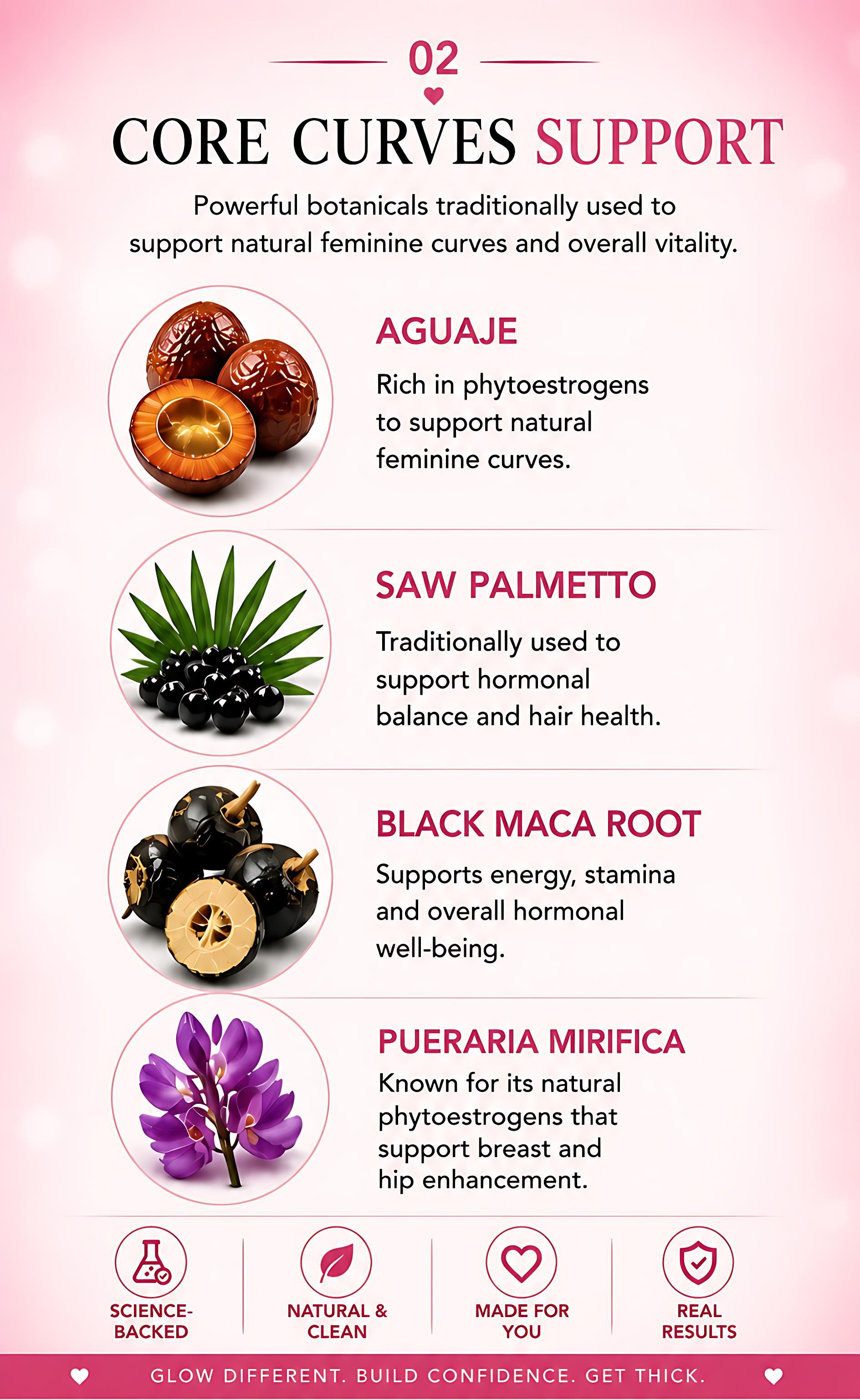 Infographic on core curves support with botanicals and their benefits.